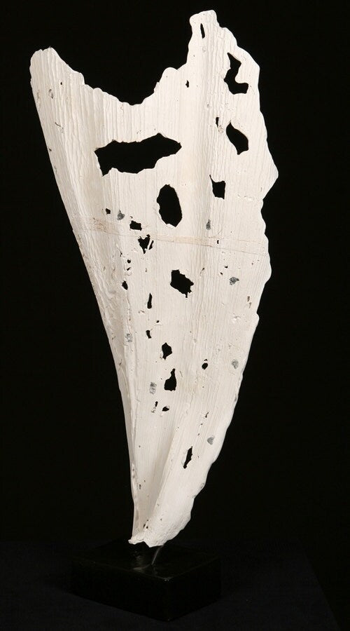 Beach Wood Sculpture