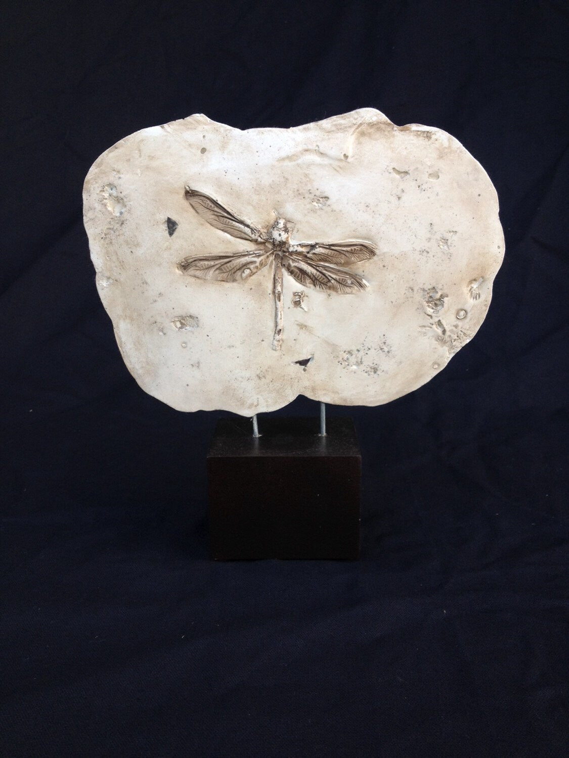 DragonFly Fragment
