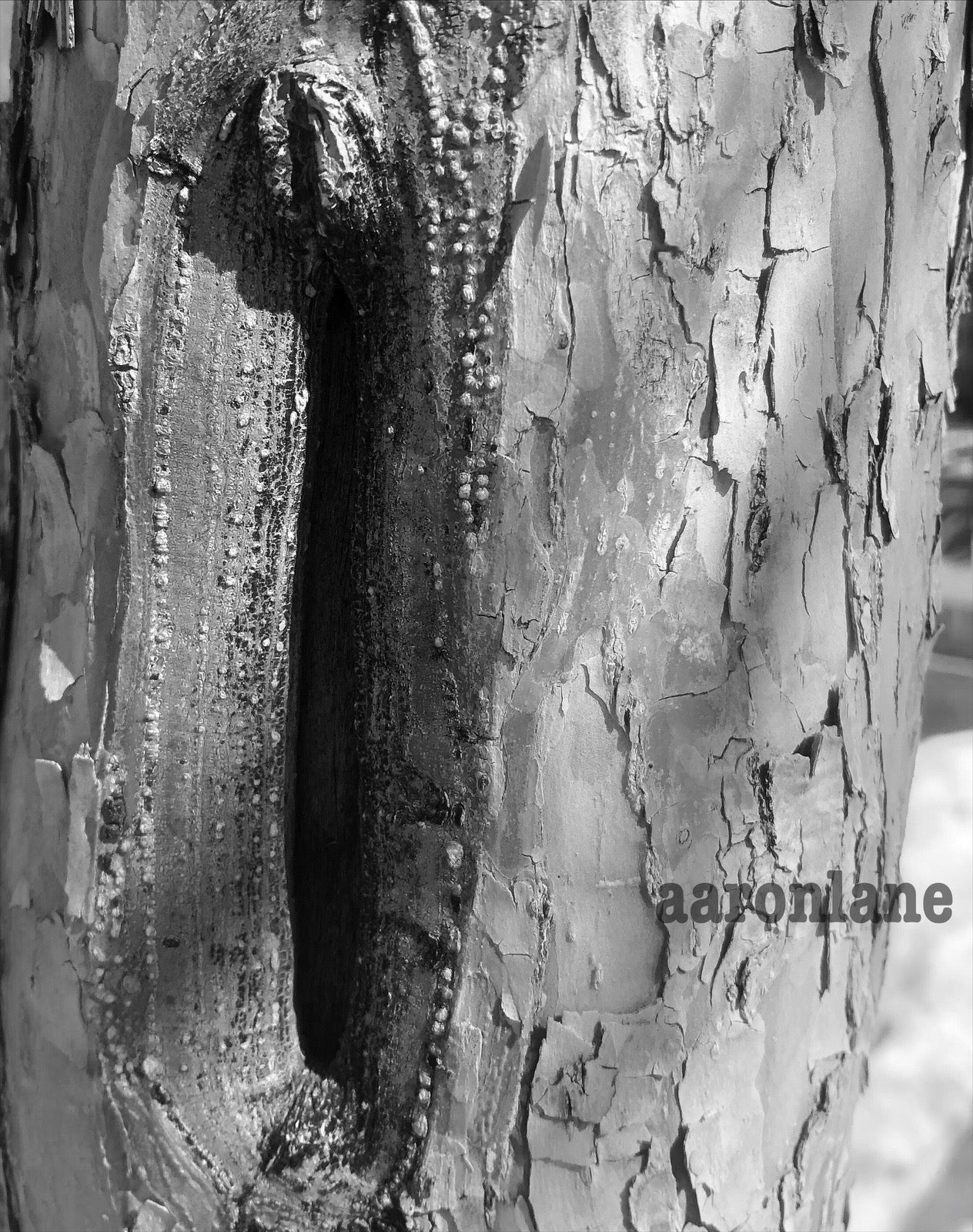 Rocky Mountain National Park