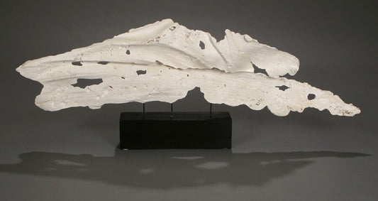 BeachWood Sculpture