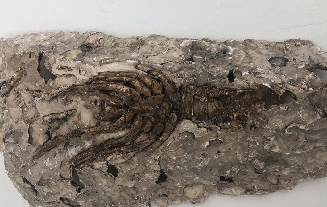 Lobster Fossil