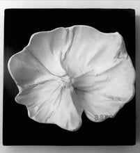 Load image into Gallery viewer, Coco Flowers
